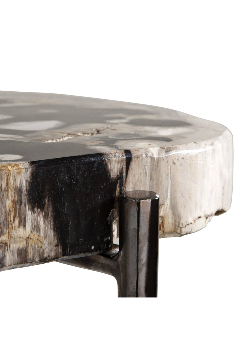 Petrified Wood Side Table | Eichholtz | OROA TRADE