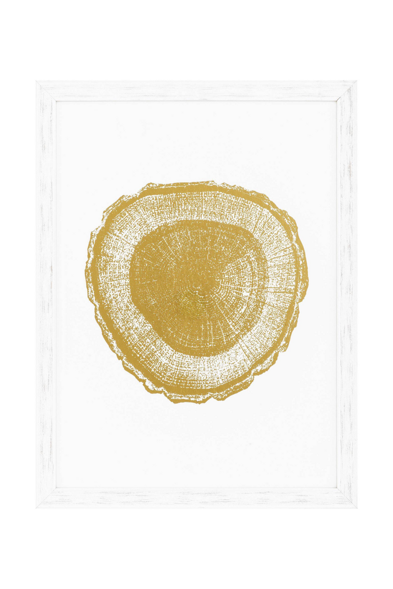 Gold Foil Tree Print (Set of 4) | Eichholtz Tree Rings | OROA TRADE
