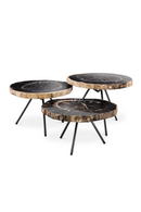 Petrified Wood Coffee Table Set | Eichholtz De Soto | Oroatrade.com