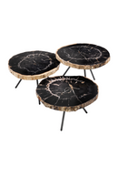 Petrified Wood Coffee Table Set | Eichholtz De Soto | Oroatrade.com