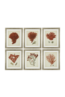 Coral Prints Set | Eichholtz Red Corals | OROA TRADE