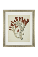 Coral Prints Set | Eichholtz Red Corals | OROA TRADE
