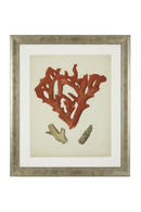 Coral Prints Set | Eichholtz Red Corals | OROA TRADE