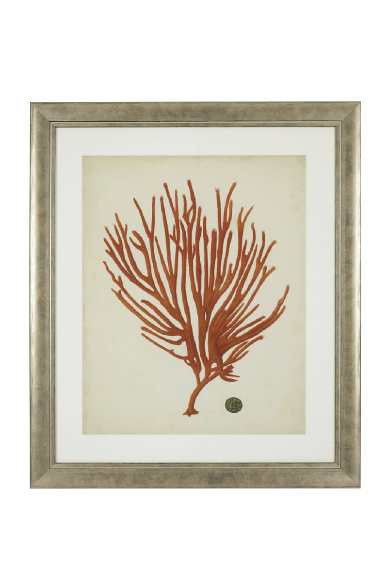 Coral Prints Set | Eichholtz Red Corals | OROA TRADE