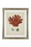Coral Prints Set | Eichholtz Red Corals | OROA TRADE
