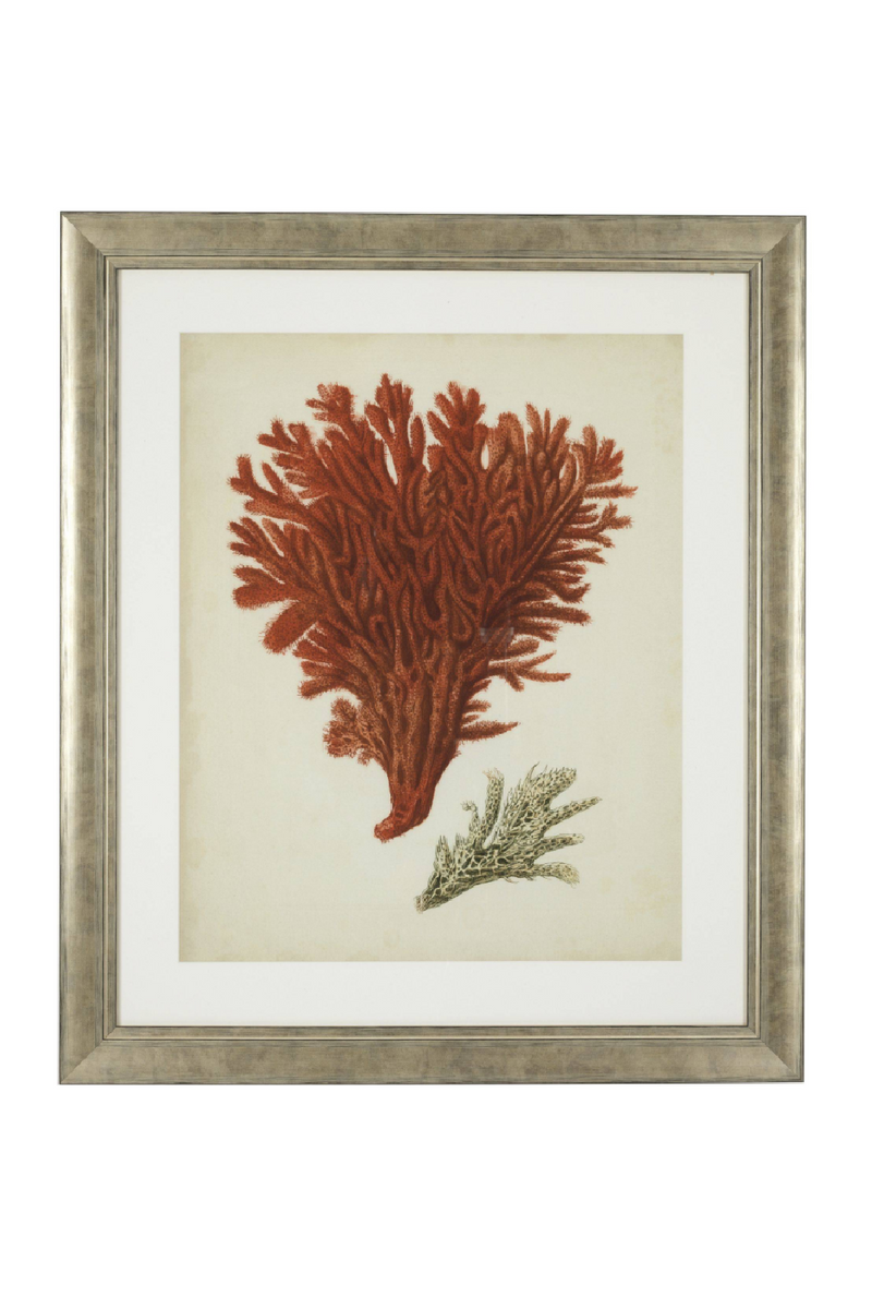 Coral Prints Set | Eichholtz Red Corals | OROA TRADE
