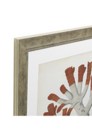 Coral Prints Set | Eichholtz Red Corals | OROA TRADE