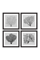 Coral Prints Set | Eichholtz Shadow Sea Fans | OROA TRADE