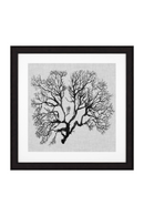 Coral Prints Set | Eichholtz Shadow Sea Fans | OROA TRADE