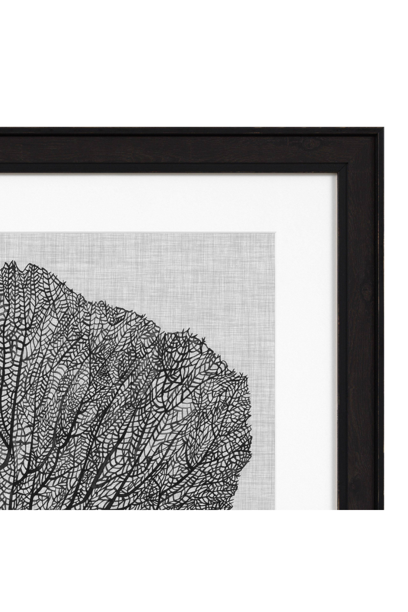 Coral Prints Set | Eichholtz Shadow Sea Fans | OROA TRADE