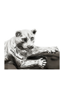 Puma Wine Cooler | Eichholtz Jordan | Oroatrade.com