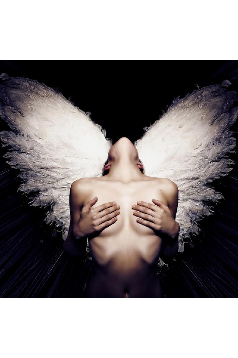 Woman With Angel Wings Artwork | Andrew Martin Destiny's Touch | OROATRADE