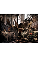 Wild Animals Photographic Artwork | Andrew Martin City Jungle