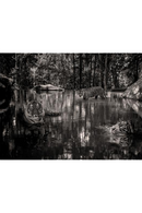 Woman With Tigers Grayscale Artwork | Andrew Martin Lost In Paradise