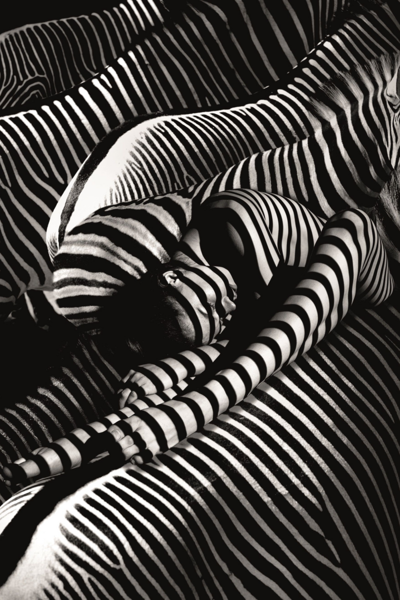 Contemporary Photographic Artwork | Andrew Martin Riding A Zebra