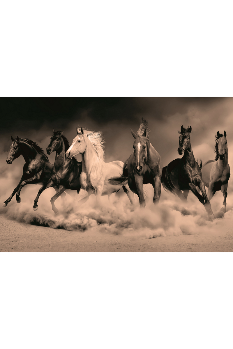 Wild Horses Photographic Artwork | Andrew Martin Desert Royals | Oroatrade.com