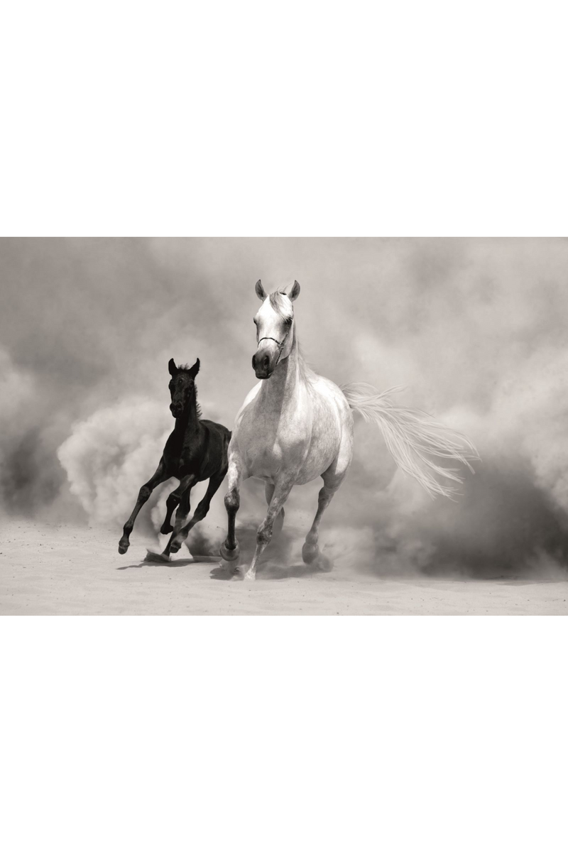 Black And White Photographic Artwork | Andrew Martin Horses | Oroatrade.com