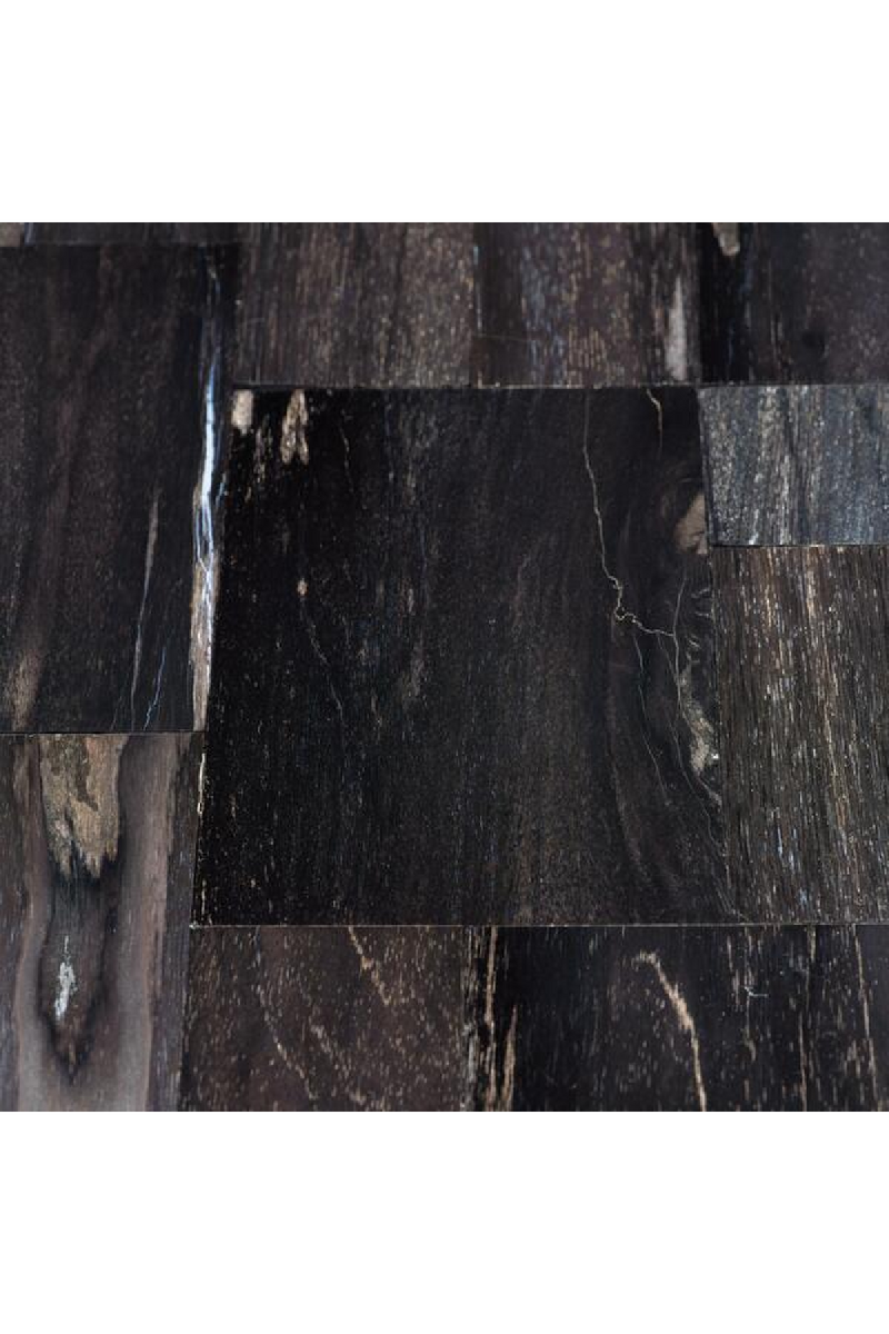 Black Petrified Wood Console Table | Andrew Martin Raife | OROATRADETRADE.com