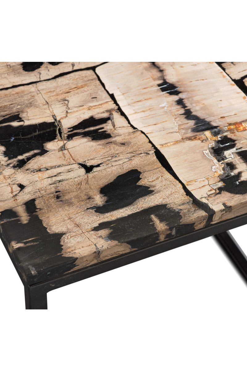 Rectangular Petrified Wood Coffee Table | Andrew Martin | OROATRADETRADE.com