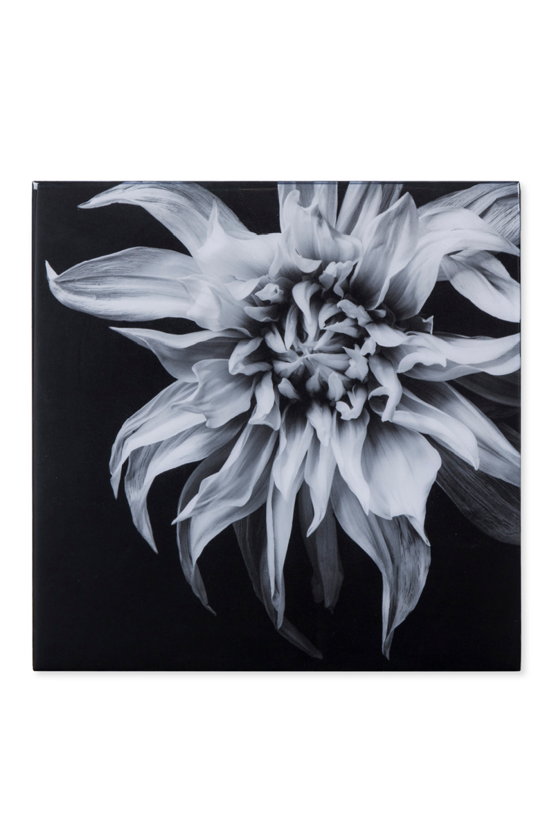 Black And White Epoxy Artwork | Andrew Martin | Oroatrade.com