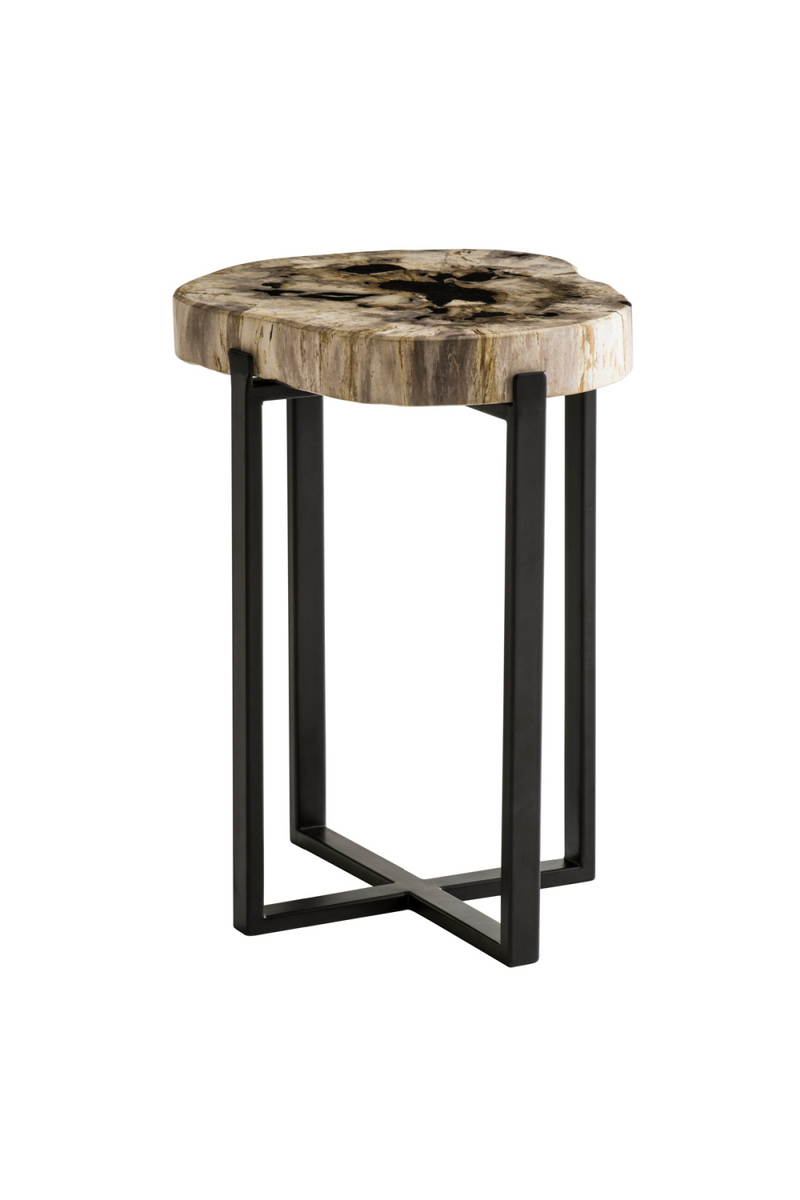 Petrified Wood Lamp Table | Andrew Martin Peter Disk | OROATRADE