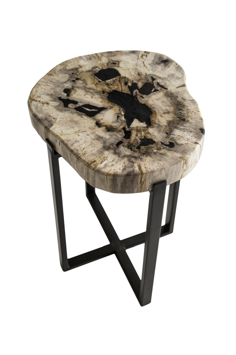 Petrified Wood Lamp Table | Andrew Martin Peter Disk | OROATRADE