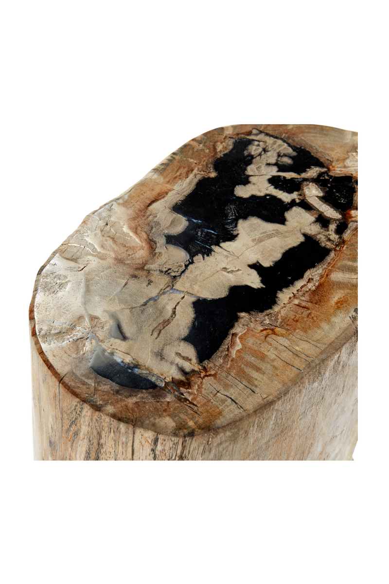 Hand-Polished Petrified Wood Stool | Andrew Martin Log | OROATRADE