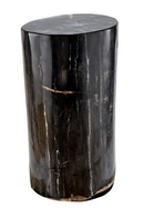 Hand-Polished Petrified Wood Stool | Andrew Martin Log | OROATRADE