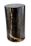 Hand-Polished Petrified Wood Stool | Andrew Martin Log | OROATRADE