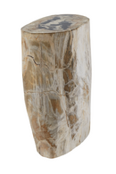 Hand-Polished Petrified Wood Stool | Andrew Martin Log | OROATRADE