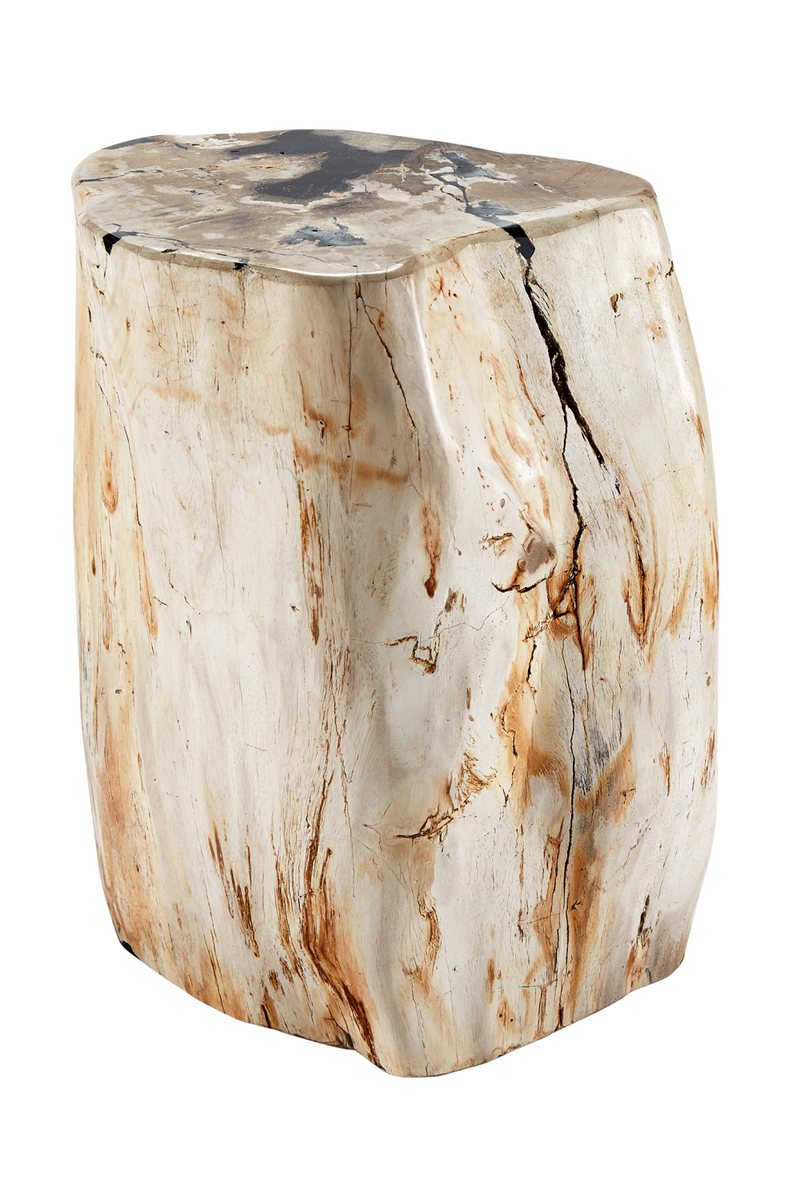 Hand-Polished Petrified Wood Stool | Andrew Martin Log | OROATRADE