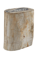 Hand-Polished Petrified Wood Stool | Andrew Martin Log | OROATRADE