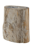 Hand-Polished Petrified Wood Stool | Andrew Martin Log | OROATRADE