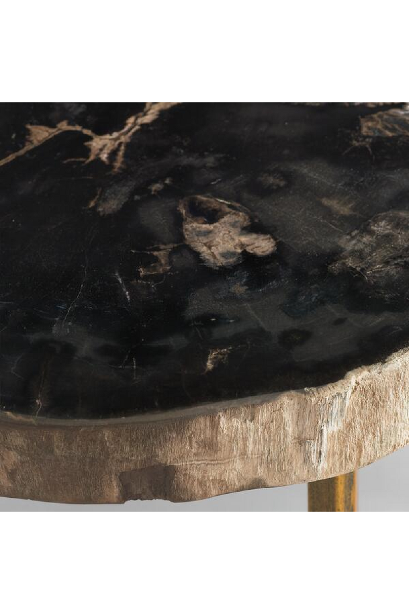 Dark Round Petrified Wood Side Table | Andrew Martin Jonah | OROATRADETRADE.com