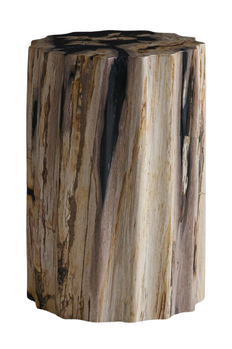 Petrified Wood Side Table | Andrew Martin | Oroatrade.com