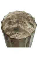 Petrified Wood Side Table | Andrew Martin | Oroatrade.com
