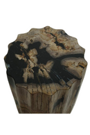Petrified Wood Side Table | Andrew Martin | Oroatrade.com