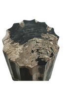 Petrified Wood Side Table | Andrew Martin | Oroatrade.com