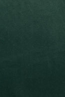 Green Velvet Dining Chairs (2) | Bold Monkey The Winner | Oroatrade.com