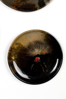 Bird Print Wall Lamps (4) | Bold Monkey No Food Here Birds | OROA TRADE