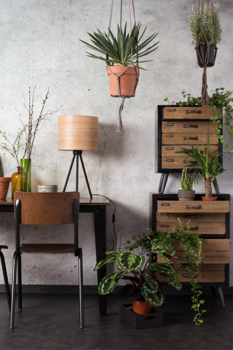 Wooden File Cabinet L | Dutchbone Sol | Oroatrade.com