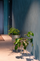 Brass Tripod Plant Stand M | Dutchbone Botanique | OROA TRADE