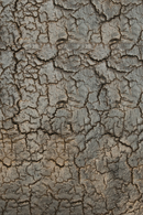 Metallic Side Table With Undershelf | Ethnicraft Pentagon │ Oroatrade.com