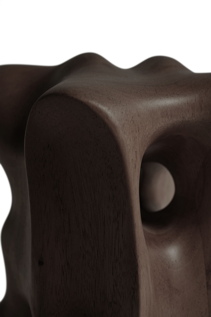Varnished Sycamore Abstract Sculpture | Ethnicraft Organic | Oroatrade.com