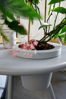 Tripod Outdoor Planter Side Table | Fatboy Bakkes | Oroatrade.com