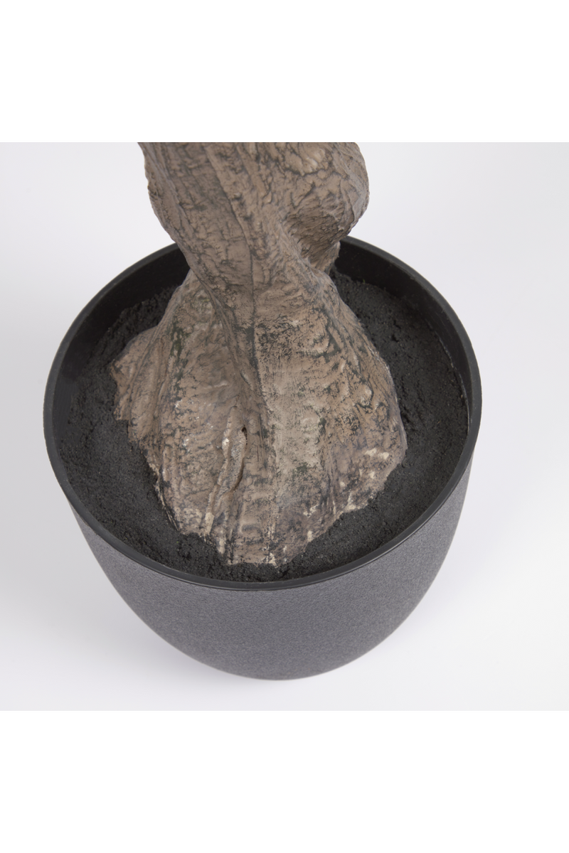 Black Potted Artificial Olive Trees Set (2) | La Forma Olivo | Oroatrade.com