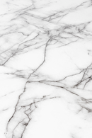 White Marble Pedestal Table | DF Floris | Oroatrade.com