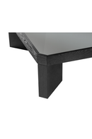 Black Ash Coffee Table | Liang & Eimil Baltimore | Oroatrade.com