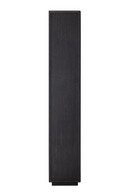 Black Oak 2-Door Bookcase | Richmond Interiors Blackbone | Oroatrade.com