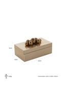 Gold Contemporary Storage Box | Richmond Interiors Norah | Oroatrade